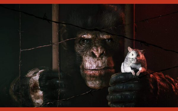 Animal Use Protocol - превью игры Survival Horror с красивой графикой и... умным шимпанзе в главной роли