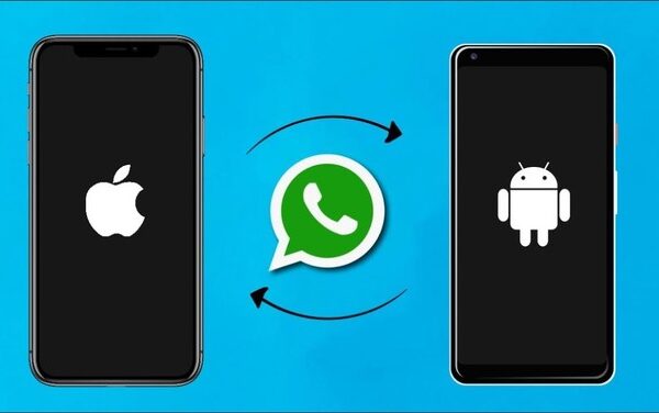 Как перенести данные WhatsApp со смартфона Android на iPhone iOS? Пошаговое руководство