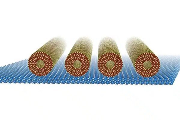 Ученые научились делать нанотрубки ориентированными только в одном направлении