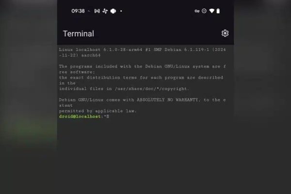 Все смартфоны Google Pixel теперь могут запускать приложения Linux