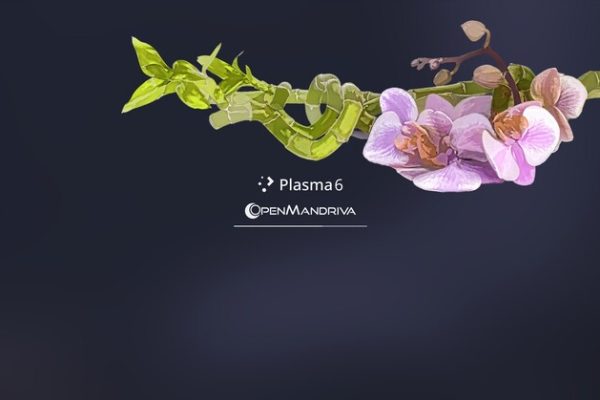 Распределение Rock OpenMandriva LX 6.0 теперь доступно. Стабильная версия KDE Plasma 6, которая предлагает ядро ​​Linux 6.15