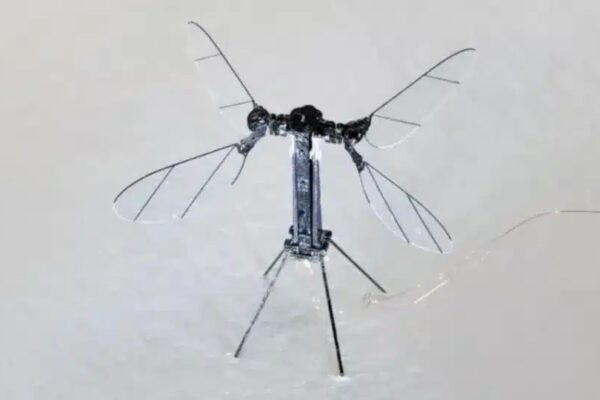 Китай создал размеры комаров для военных операций