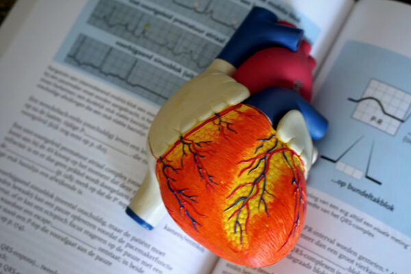 Измерение импульса человека на расстоянии? Вот Pulse-Fi, который использует Wi-Fi для этой цели и машинного обучения