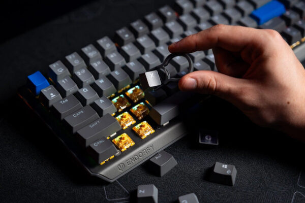 Endorfy Thock v2 - новая серия механических клавиатур. Горячий обмен, разные размеры, два переключателя и многое другое. Есть из чего выбрать