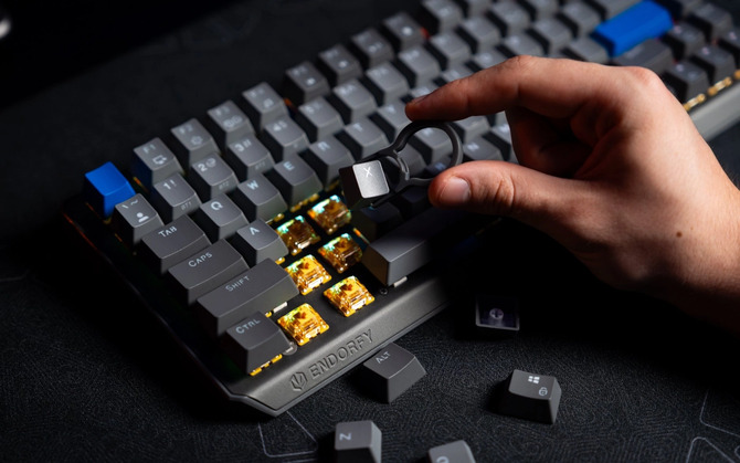 Endorfy Thock v2 - новая серия механических клавиатур. Горячий обмен, разные размеры, два переключателя и многое другое. Есть из чего выбрать