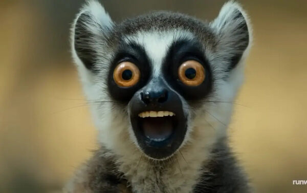 Нет больше исследований MOCAP. Взлетно-посадочный Act-Two Animals Любой персонаж с одной записью. Все, что вам нужно, это камера телефона