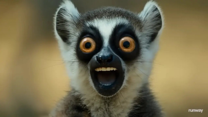 Нет больше исследований MOCAP. Взлетно-посадочный Act-Two Animals Любой персонаж с одной записью. Все, что вам нужно, это камера телефона