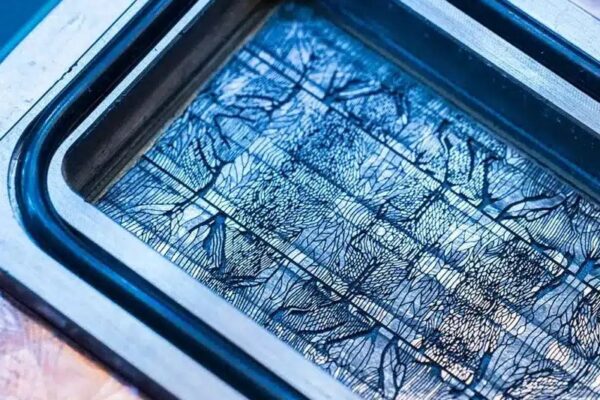 Microsoft тестирует охлаждение чипов через микроканал в кремнии, вдохновленном Butterfly Wings