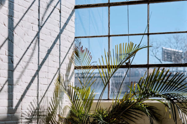 Как поживает Windows 11 в Польше? Сентябрь внес значительные изменения по всей Европе. Проверьте новую статистику