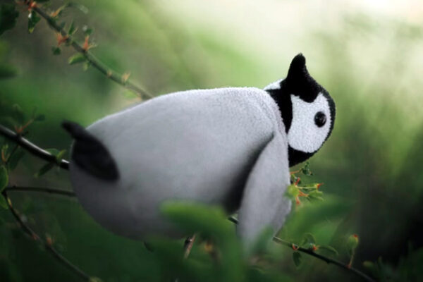 Windows снова захватывает эстафету, а акции Linux падают. Интерес к миру открытого исходного кода, похоже, уменьшается