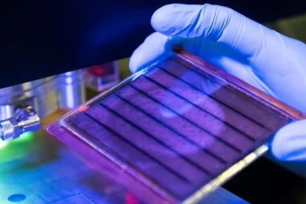 Перовскитные фотоэлектрические элементы на основе MXene достигают эффективности 25,13%.