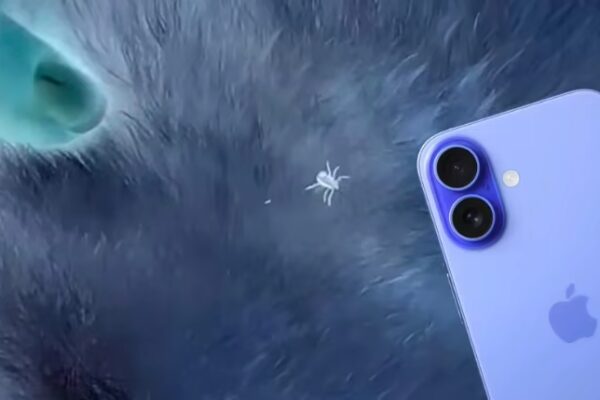 iPhone помогает владельцам домашних животных находить на них клещей