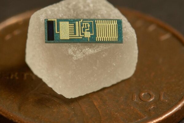 Имплантат меньше крупинки соли: ученые создают микрочип, который в течение года считывает активность мозга без проводов