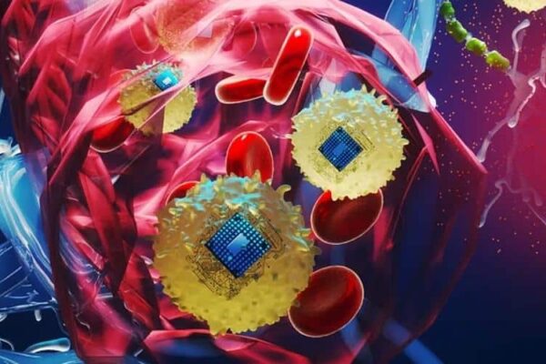 Инъекция вместо операции: Массачусетский технологический институт демонстрирует самообучающиеся нейрочипы