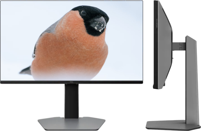 Монитор TCL 25G64 предлагает светодиодную подсветку QD-MINi по цене менее 1000 злотых. Матрица Full HD, частота обновления 300 Гц и FreeSync Premium