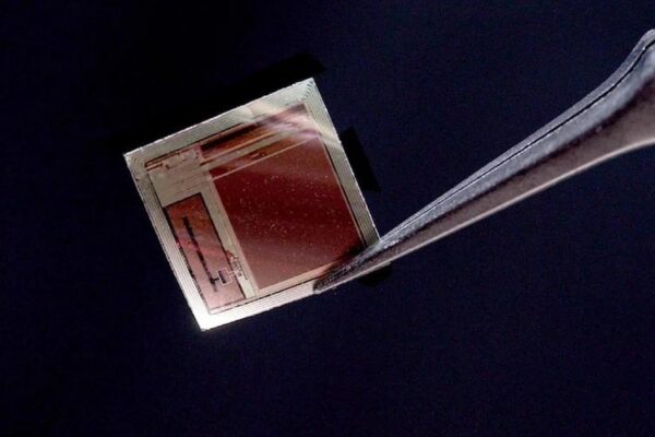 Самый тонкий мозговой имплант с 65 000 электродами передает данные со скоростью 100 Мбит/с