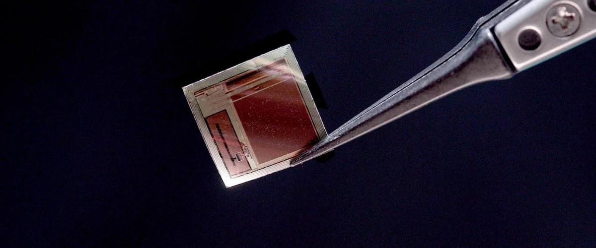 Самый тонкий мозговой имплант с 65 000 электродами передает данные со скоростью 100 Мбит/с