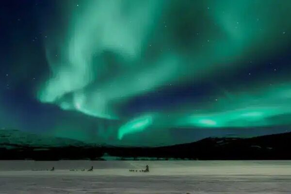 Samsung заработала миллиарды долларов и вернула себе лидерство на рынке DRAM