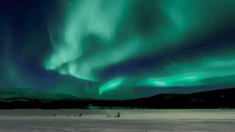 Samsung заработала миллиарды долларов и вернула себе лидерство на рынке DRAM