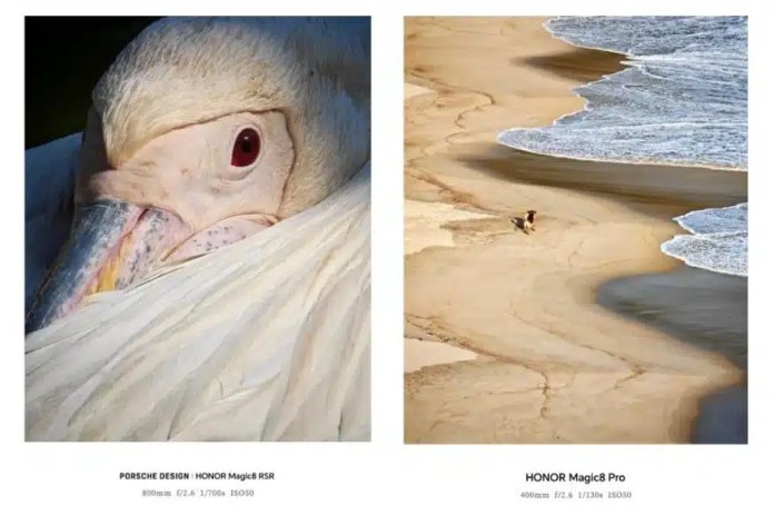   примеры изображений, снятых с помощью телеобъектива