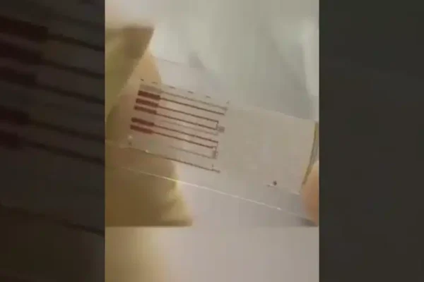 Новый гибкий носимый чип без проблем выдерживает 40 000 циклов изгиба.