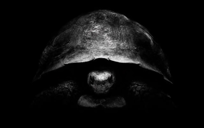 Безос — это черепаха-троллинг Маска, но это не шутка, потому что у него есть план опередить SpaceX на Луне