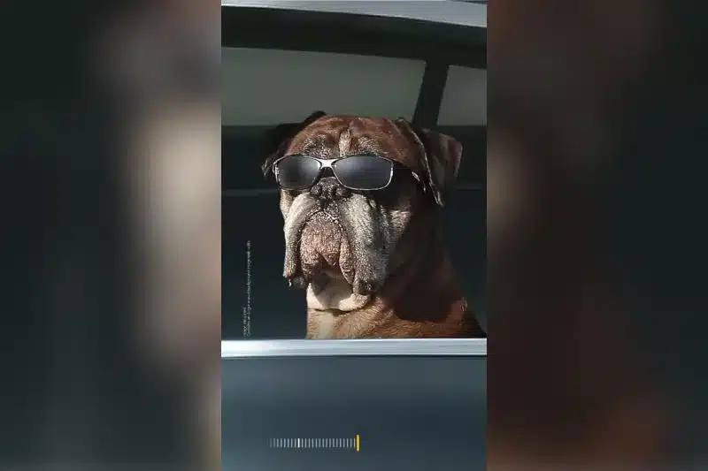 Samsung показала первые тизеры Galaxy S26 — упор сделан на зум и ночную фотосъемку