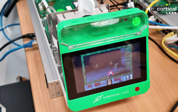 Гибель живых нейронов. Cortical Labs CL1 сочетает обработку биологической информации с коммерческой обработкой.