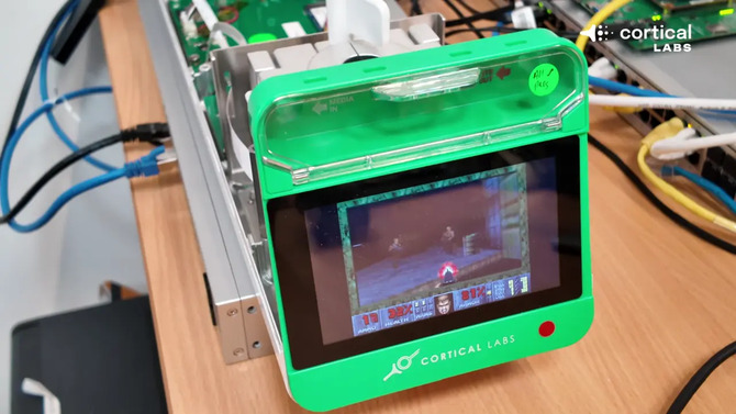 Гибель живых нейронов. Cortical Labs CL1 сочетает обработку биологической информации с коммерческой обработкой.