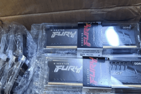 Пользователь Reddit сорвал джекпот: оперативная память DDR5 стоимостью 10 000 долларов из поддона Amazon за 100 долларов