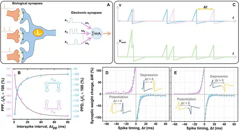 Наноэлектронное устройство, вдохновленное человеческим мозгом, может снизить энергопотребление оборудования искусственного интеллекта на 70%