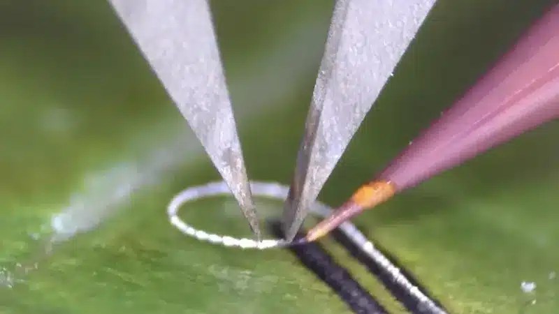 Инженеры разработали устройство для печати электроники на живых тканях и хирургических имплантатах